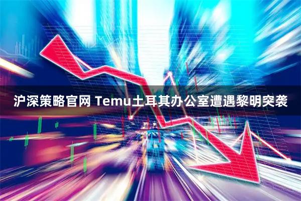 沪深策略官网 Temu土耳其办公室遭遇黎明突袭