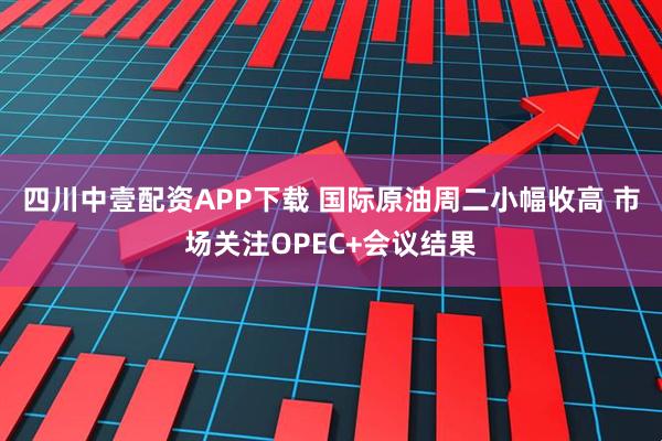 四川中壹配资APP下载 国际原油周二小幅收高 市场关注OPEC+会议结果